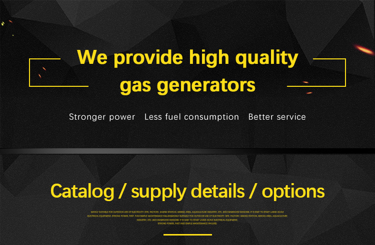 SHX High Performance Power 1000kw 1mw 2mw 2mwt Natural Gas Generator Project
