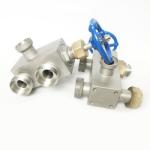 Medium Pressure Cryogenic Globe Valve Stainless Steel , Three Way Globe Valve