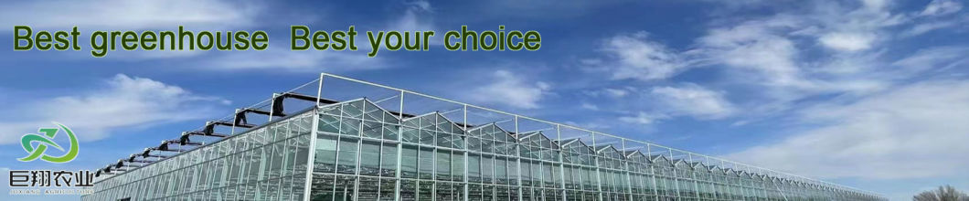 Anti-Drip Fogging Illuminating Greenhouse for Seedling Cultivation