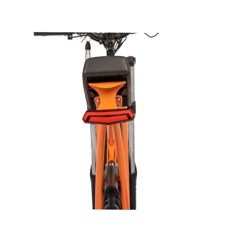 Rear Hub Motor 750w High Speed Dirt Bike Off-Road Electric Fat Tire Bike Electric Cruiser Bikes