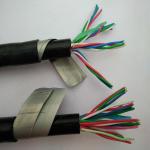 ECHU CABLE PVC Insulation Flexible Shield Round Control Cable KVVR 450/750V in