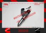 Diesel Engine Fuel Injector ISM QSM excavator fuel Injector 3095040 fuel