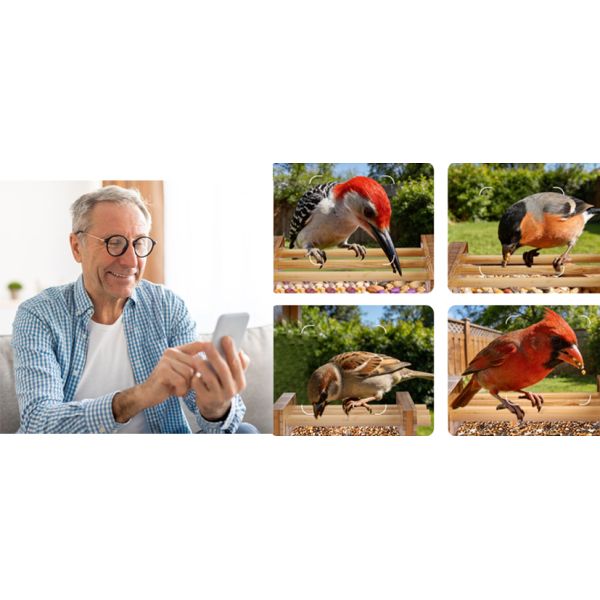 BAMBOO WOODEN SMART BIRD FEEDER