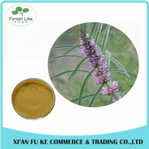 Wholesale Clear Heart and Regulate Menses Natural Motherwort Herb Extract from china suppliers