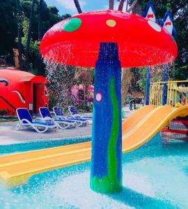 China Fiberglass Water Mushroom Fountain Customized For Children Spray Park on sale
