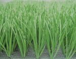 Lemon Grass Football Artificial Grass Baseball 50mm Artificial Cricket Pitch