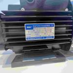 Simple Structure Three Phase Electric Motors IE3 For Electric Vehicle