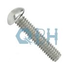 GR2 Bolt Round Head Square Neck