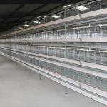 Stable Running Poultry Layer Cage , Automatic Control Chicken Coop Cage