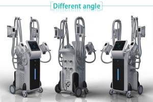 Wholesale 4 handles cryotherapy non-invasive cryolipolysis fat freeze weight loss machine with CE from china suppliers