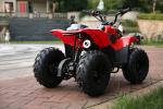 ATV 110cc,125cc,4-stroke,air-cooled,single cylinder,gasoline electric start,New