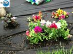 Agricultural Use PP Plastic Fabric Anti Grass Ground Cover Weed Control Mat Weed
