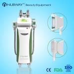 Advanced Cryotechnology 5 handles cryolipolysis body slimming beauty machine