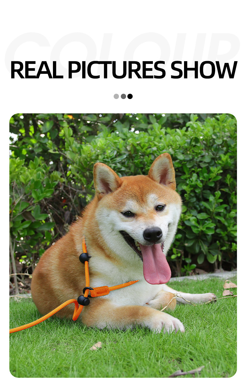 Pet Nylon P Chain Leash Dog Explosion-Proof Punch Handle Integrated Dog Walking Rope