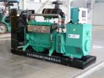 100kVA LPG Generator with ATS for Sale