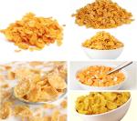 Dog Treats Corn Puff Production Line Cat Pet Snack Production Machine