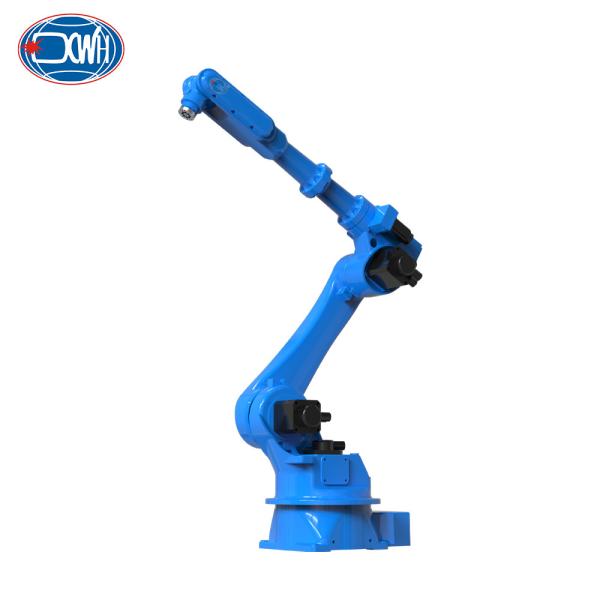 5 Axis Pallet Wrapping Cutting Pick And Place Spray Painting Welding Tig Robot