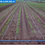 Agricultural Greenhouse Irrigation System / Greenhouse Boom Irrigation Systems