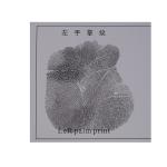E005 BTNY-II Rubber palm print pad
