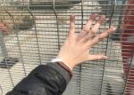 LN 358 Security Fencing- High Security fencing