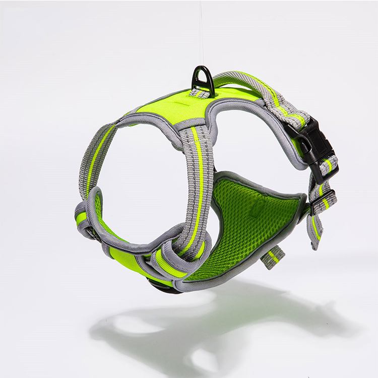Fancy Dog Collar Harness And Leash Set For Daily Walking