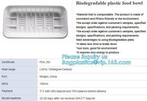 Wholesale blister packaging tray, rectangular plastic food tray, CornStarch PLA cement tray from china suppliers