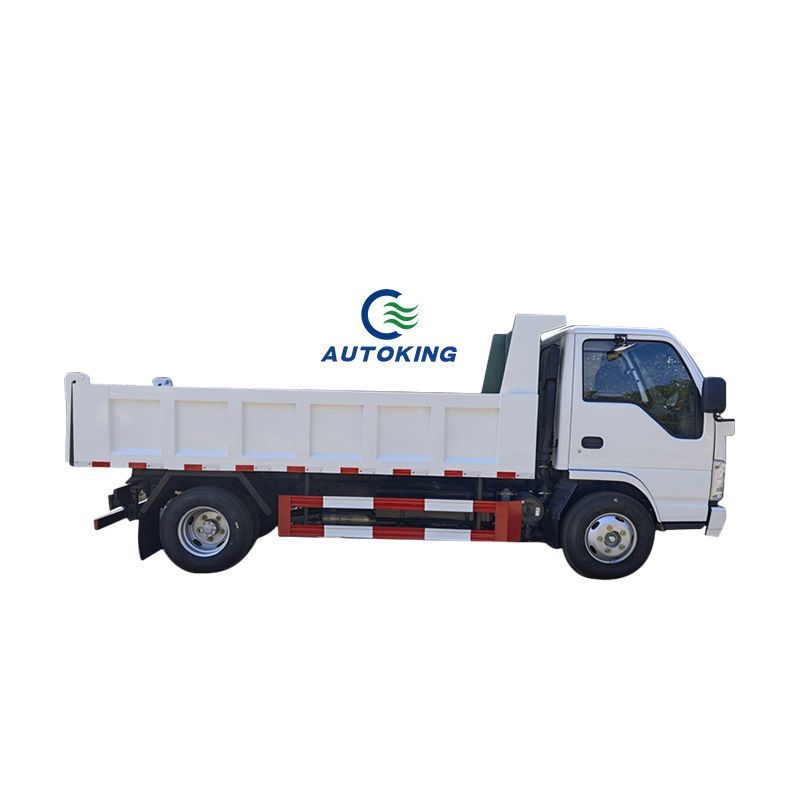 Tipper 10 Ton Mini Dump Truck Customize Box Truck Dump