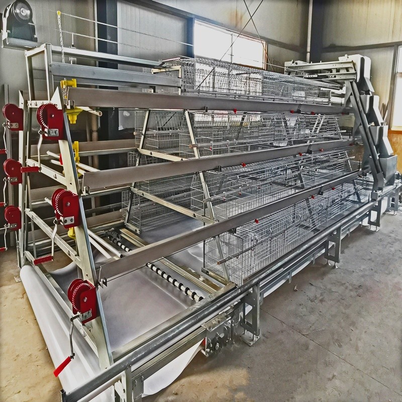 4 Tier Battery Broiler Chicken Cage A Type In Philippines Automatic