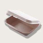 450ml Pulp Lunch Box Eco Friendly Takeaway Containers Water Resistance