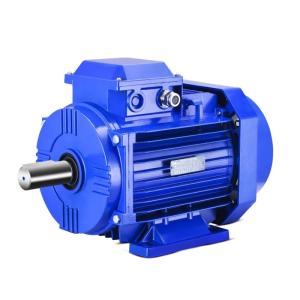Wholesale Three Phase Asynchronous Electric Motor Squirrel Cage UKAS from china suppliers