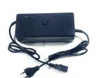 Advantage Multi-Protection Safety Protection 12V/24V/36V/48V/60V Charger for 20s