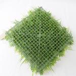 Landscaping Outdoor PE PP Artificial Green Walls Grass