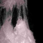 A Grade High Quality Low Melt Polyester Staple Fiber 4D For Padding