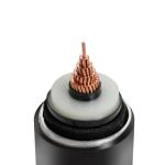800mm2Single-Core Copper/Aluminum XLPE High Voltage Cable with Lead She Power