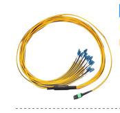 Wholesale DONGWE DW-MPOLCRF24 MPO LC Roundness Fanout Patch Cord,24 Core from china suppliers