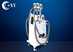 Wholesale Ce Certificate Salon Cryolipolysis Slimming Machine For Fat Loss from china suppliers