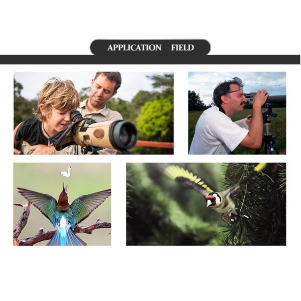 20-60x60 Adults Angled Spotting Scope Tripod For Bird Watching