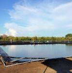 0.3mm 0.5mm 0.75mm 1.0mm HDPE Geomembrane for Shrimp Farm Pond Liners in Fish