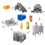 600 Tons Per Day Lemon Juice Production Line SUS304 Special Equipment For Citrus