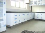 Physical Chemistry Lab Furniture , PP Material Chemical Resistant Lab Tables