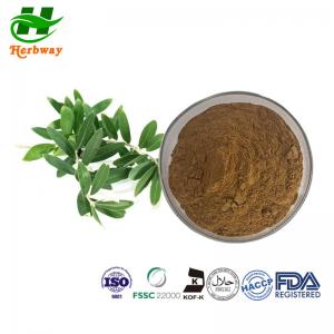 Wholesale Natural Olive Leaf Extract With Oleuropein 40% Hydroxytyrosol Olea Europaea Extract from china suppliers