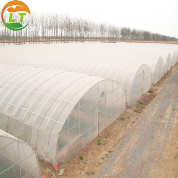 Design Greenhouse with Film Delivery Within 30 Days After Payment Designable