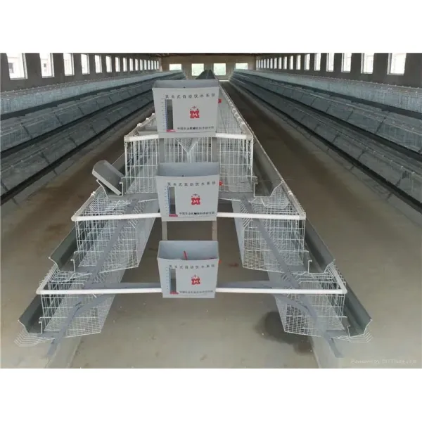 Hot Dip Galvanized Metal Steel Broiler Layer Poultry House With Automatic Brooding Equipment