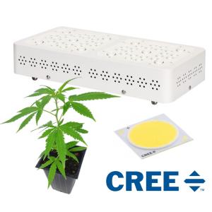 Wholesale Commercial Vegetable Led Grow Lights Used In Cannabis Chamber 50/60Hz from china suppliers