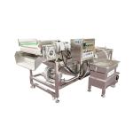 Celery Portable Clothes Washing Machines Italian