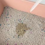 Hard Clumping Bentonite Cat Litter Lightweight Bentonite Kitty Litter
