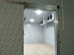 Customized Walk - In Cooler Freezer With Stainless Steel Material 60hz