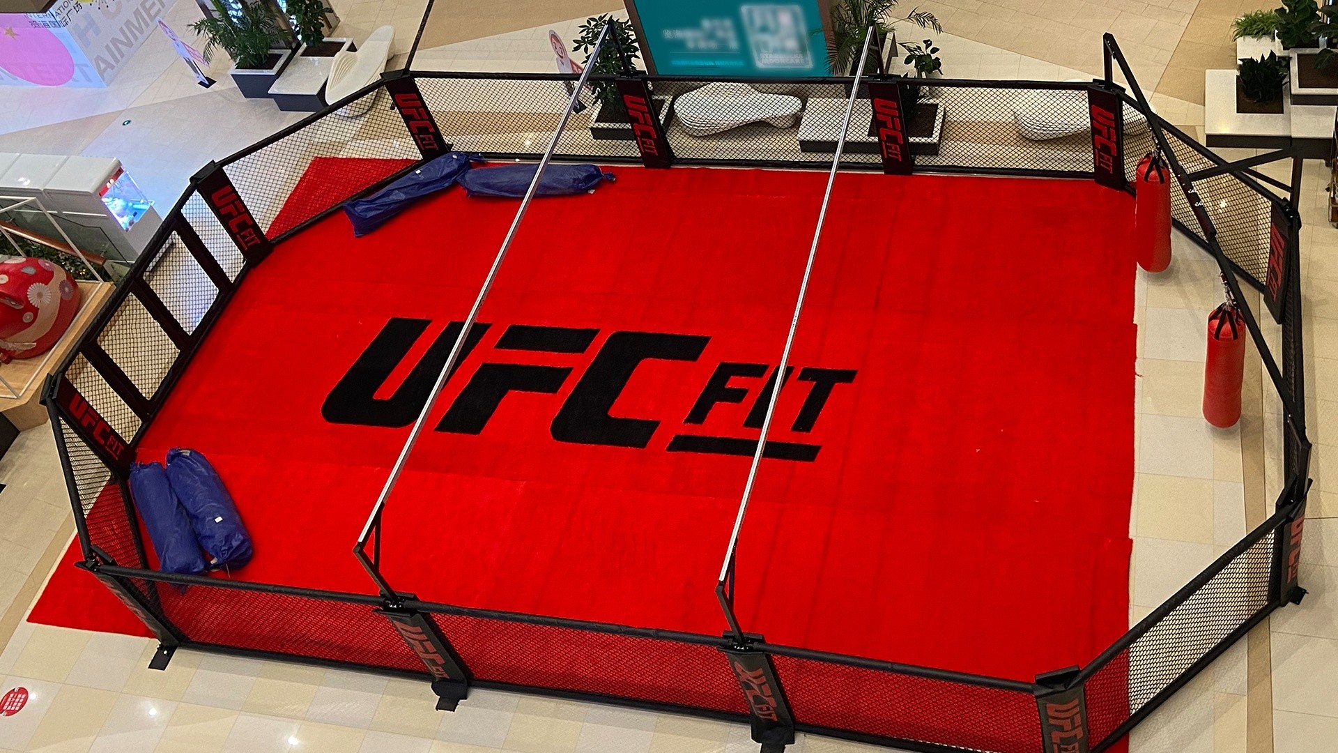 ISO Kickboxing Championship MMA Training Cage For Fight Training
