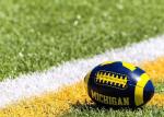 Rugby Field Artificial Turf Grass Durable With 10mm~60mm Pile Height