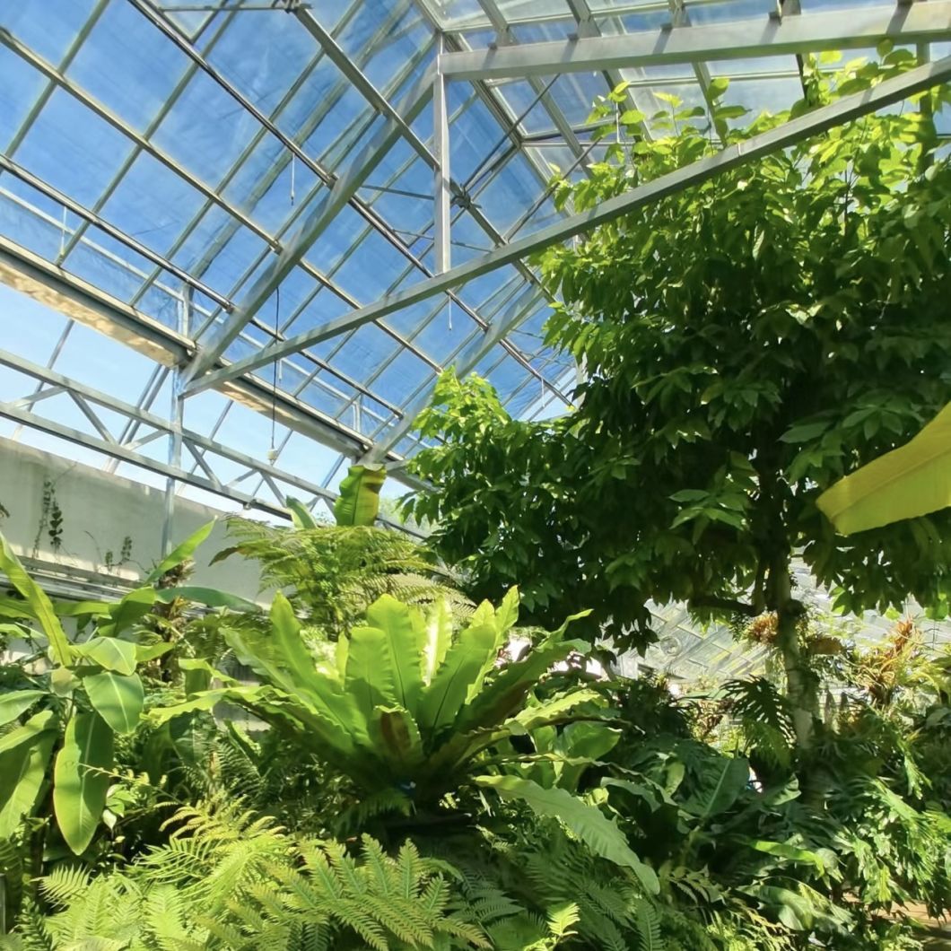 Reasonably Priced Glass Greenhouse for Vegetable Farming
